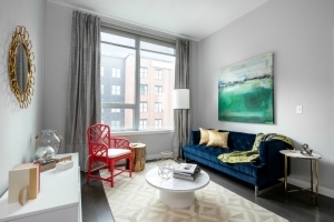 Apartment living room with hardwood floors, decorated with contemporary artisan furniture and modern decor.